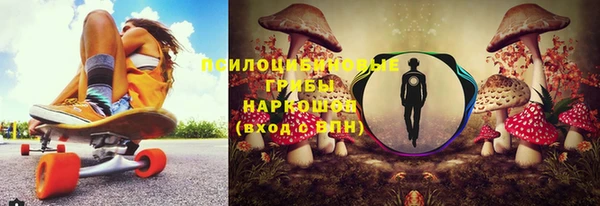 jwh Богородицк