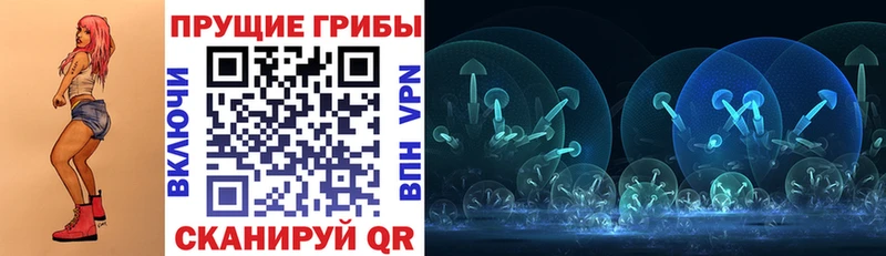 Купить  Енисейск  Галлюциногенные грибы MAGIC MUSHROOMS 
